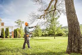Best Utility Line Clearance  in Forest Park, OH